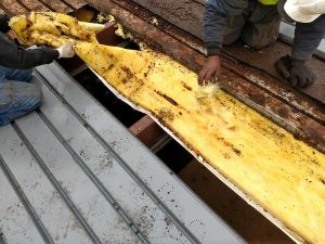 Commercial Roof Repair2