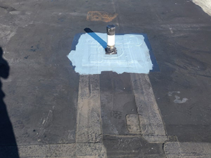 Roof Maintenance