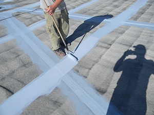 Roof Coating - Richfield, OH 1