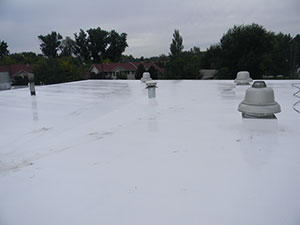 Roof Coating Montrose, OH 1